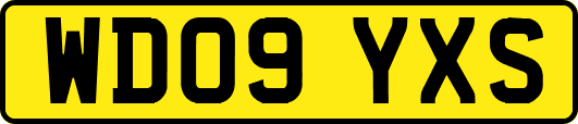 WD09YXS