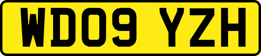 WD09YZH