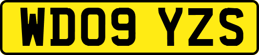 WD09YZS