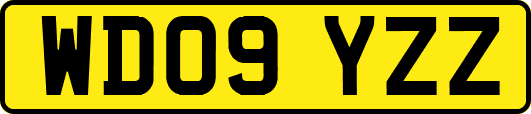 WD09YZZ
