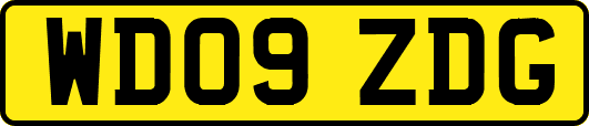 WD09ZDG