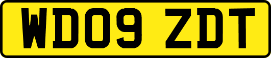 WD09ZDT