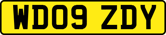 WD09ZDY