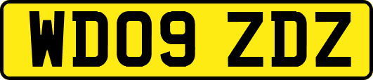 WD09ZDZ