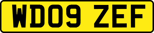 WD09ZEF