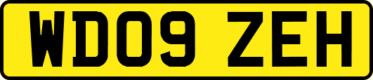 WD09ZEH