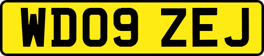 WD09ZEJ