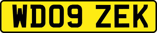 WD09ZEK