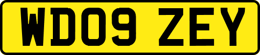 WD09ZEY