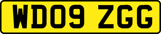 WD09ZGG