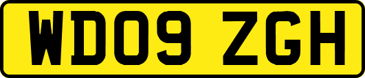 WD09ZGH