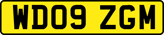 WD09ZGM