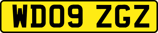 WD09ZGZ
