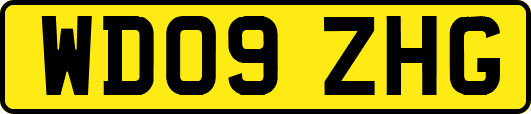 WD09ZHG