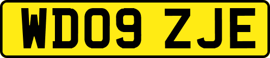 WD09ZJE
