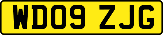 WD09ZJG