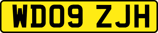 WD09ZJH