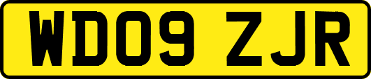 WD09ZJR