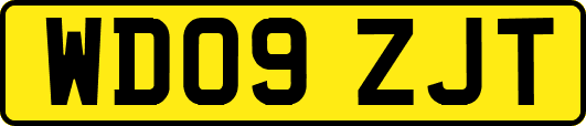 WD09ZJT