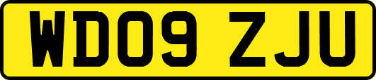 WD09ZJU