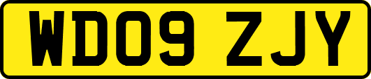WD09ZJY