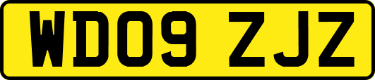 WD09ZJZ