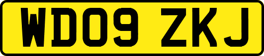 WD09ZKJ