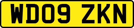 WD09ZKN