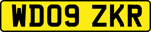 WD09ZKR