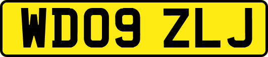 WD09ZLJ