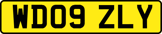 WD09ZLY