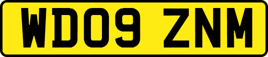 WD09ZNM