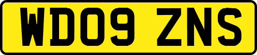 WD09ZNS