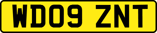 WD09ZNT