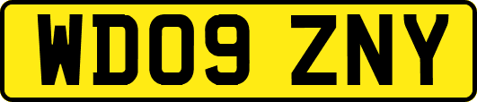 WD09ZNY