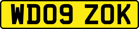 WD09ZOK