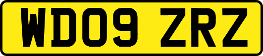 WD09ZRZ