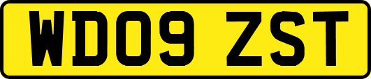 WD09ZST