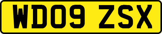 WD09ZSX