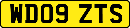 WD09ZTS
