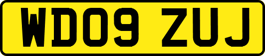 WD09ZUJ