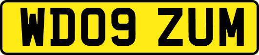 WD09ZUM