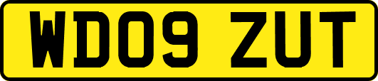 WD09ZUT