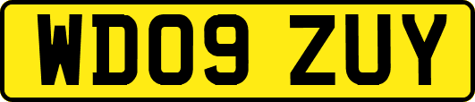 WD09ZUY