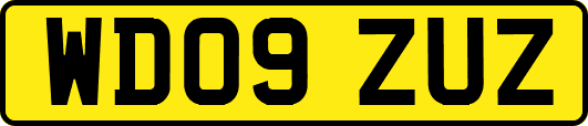 WD09ZUZ