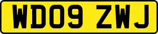 WD09ZWJ