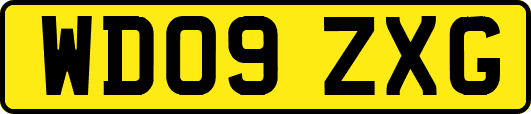 WD09ZXG
