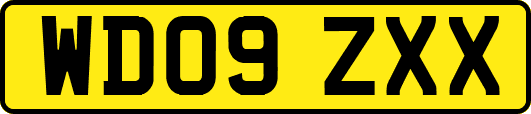 WD09ZXX