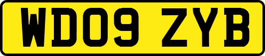 WD09ZYB