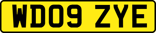 WD09ZYE